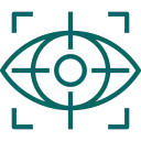 vision